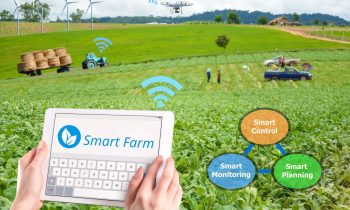 Smart Farming: Nuevas Tecnologías en la Producción de LecheLugo 12/09/2019